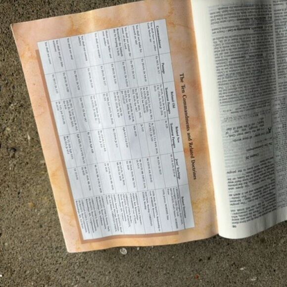 New International Version Disciple’s Study Bible - Picture 8 of 10